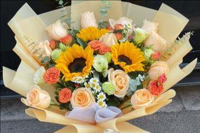 ���������ػ���